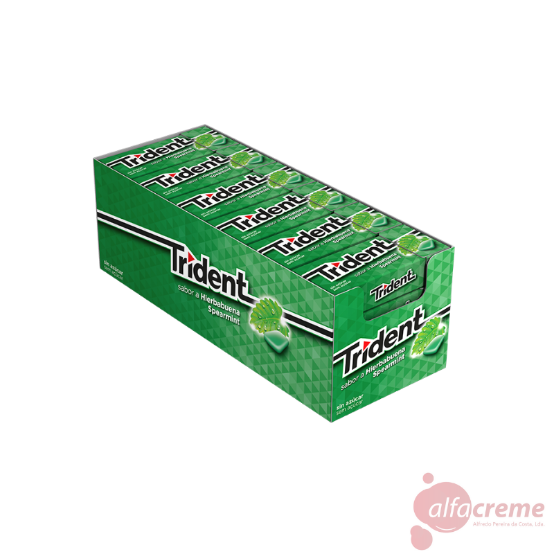 Trident Spearmint C/24