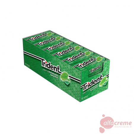 Trident Spearmint C/24