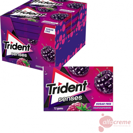 Senses Berry Pasrty 23 Gr C/12