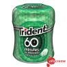 60 MIN. BOTTLE SPEARMINT 68,2 Gr C/6