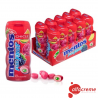 Mentos Gum Frut.Silveestre 30 Gr C/10