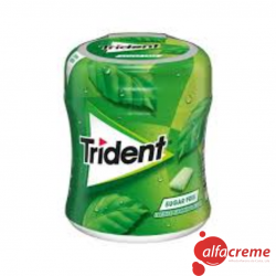 Trident BOTTLE SPEARMINT...