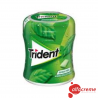 Trident BOTTLE SPEARMINT 82,6 Gr W/6