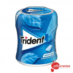 Trident BOTTLE PEPERMINT...