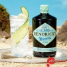Gin Hendricks Neptunia