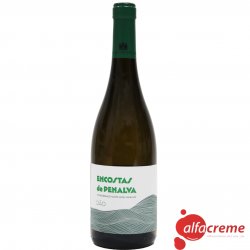 Encostas de Penalva - Vino...